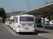 ​Organizátoři dopravy chtějí po vládě snížení věku řidičů autobusů na 18 let